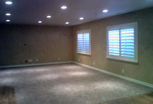 Basement Rec. Room & Shutters